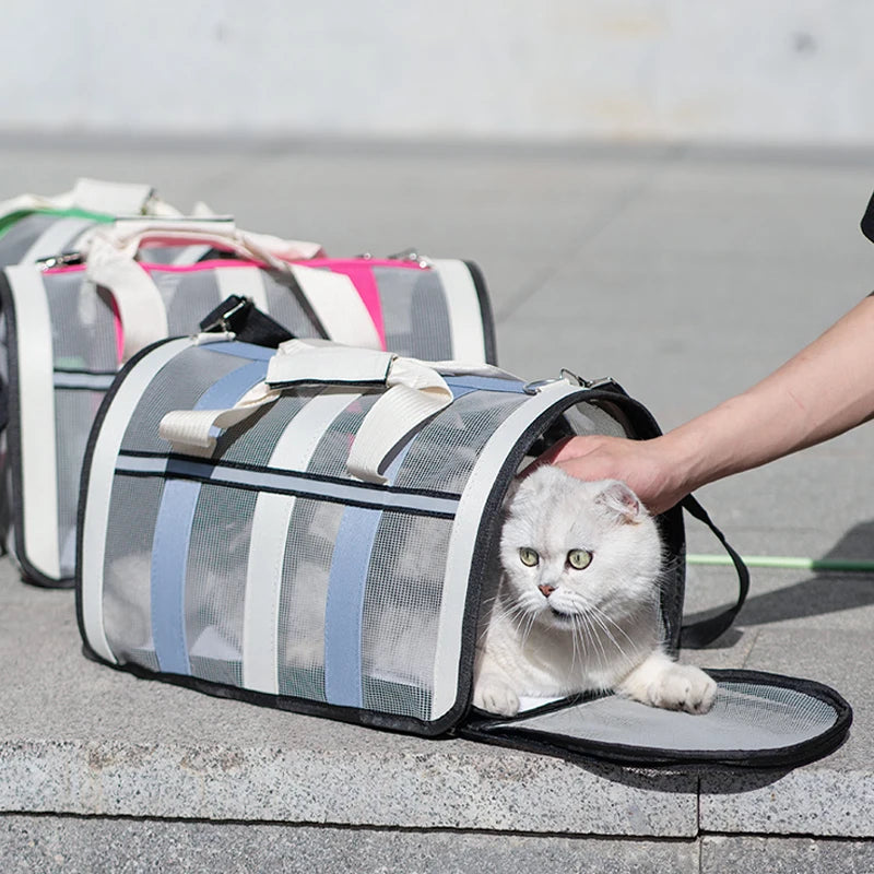 Pet Carrying Bag Outing Portable Cat Dogs Handbag Foldable Small to Medium Dog Cage Mesh Handbag